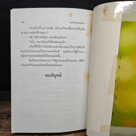 เกสรกับหนอนด้วง - จิตรเลขา รูปที่ 8