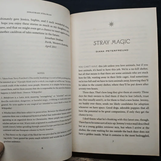 Under My Hat: Tales from the Cauldron - Neil Gaiman, Holly Black รูปที่ 9