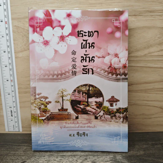 ชะตาฝันมั่นรัก - ซือซิง รูปที่ 1