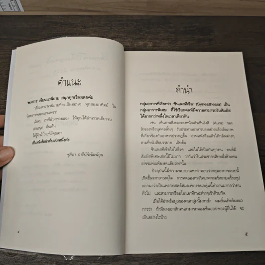 เลื่อมลวง - พงศกร รูปที่ 8