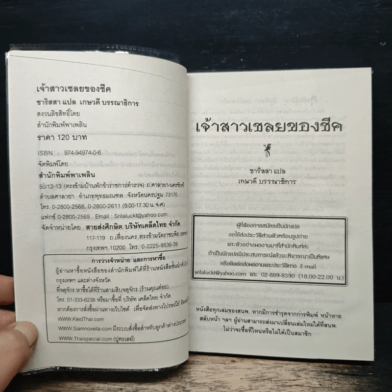 เจ้าสาวเชลยของชีค - ชาริสสา, เกษวดี รูปที่ 6