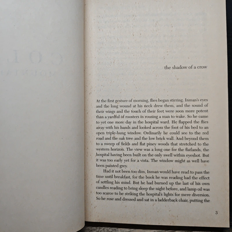 Cold Mountain - Charles Frazier รูปที่ 7