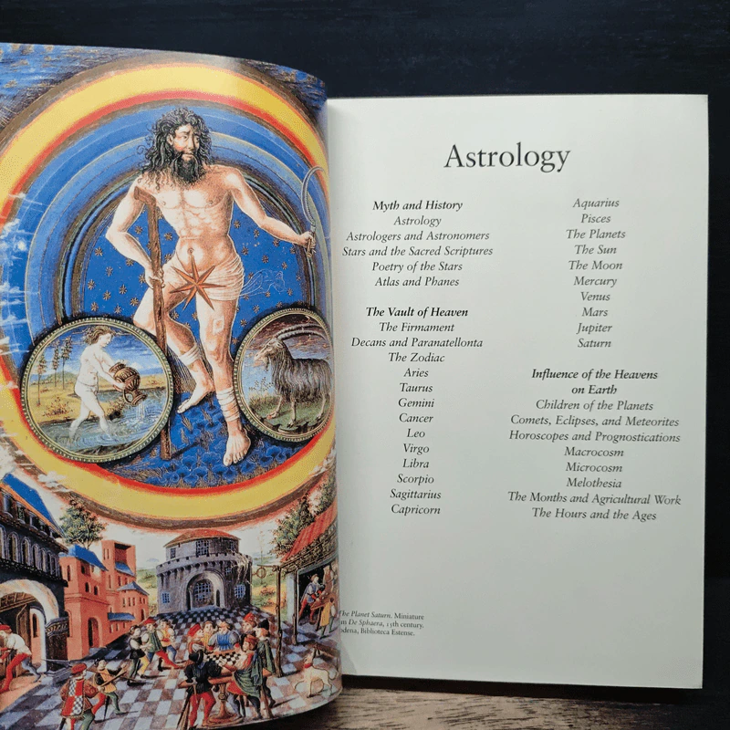 Astrology, Magic, and Alchemy in Art รูปที่ 7