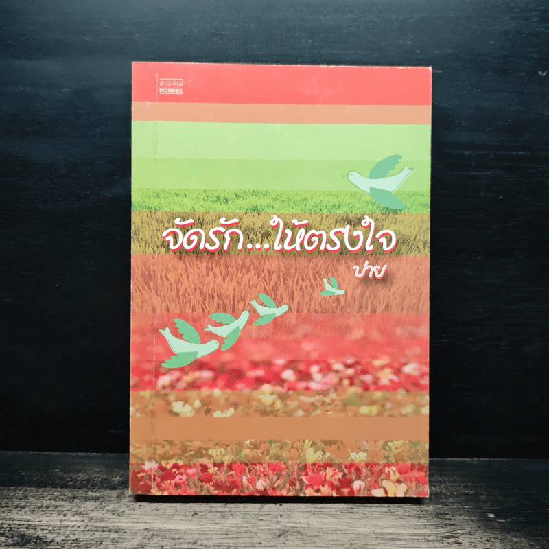 จัดรัก...ให้ตรงใจ - ปาย รูปที่ 1