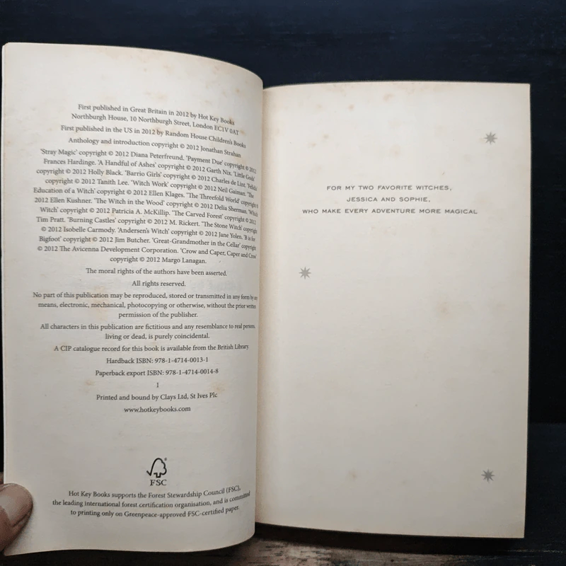 Under My Hat: Tales from the Cauldron - Neil Gaiman, Holly Black รูปที่ 6