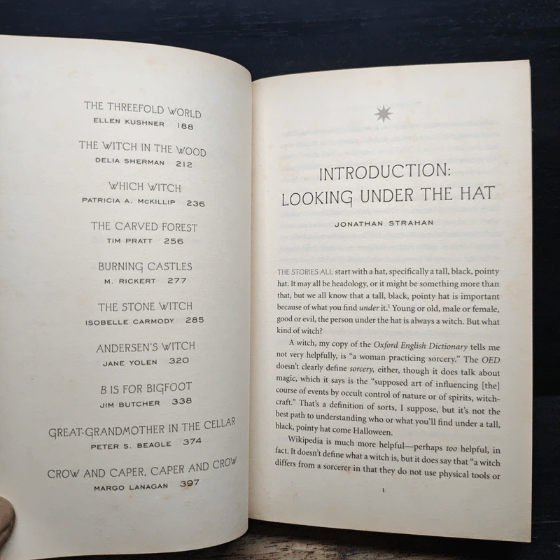 Under My Hat: Tales from the Cauldron - Neil Gaiman, Holly Black รูปที่ 8