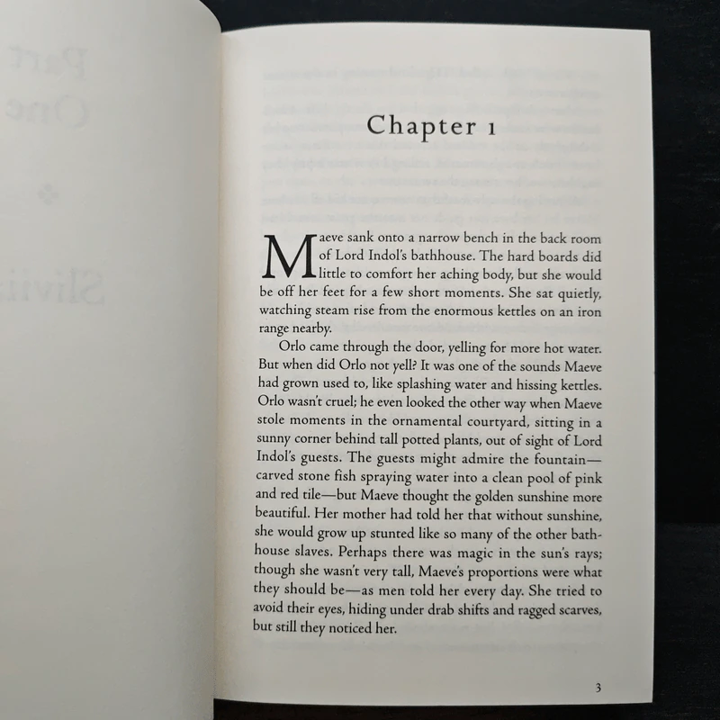The Healer's Keep - Victoria Hanley รูปที่ 8