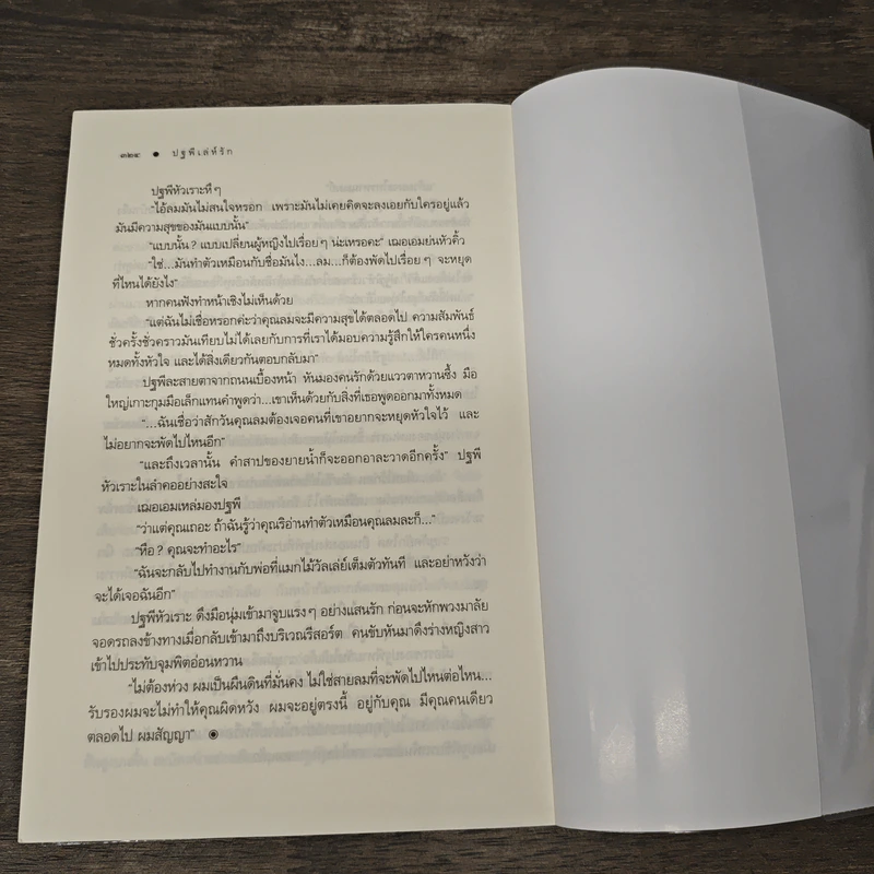 ปฐพีเล่ห์รัก - ร่มแก้ว รูปที่ 9