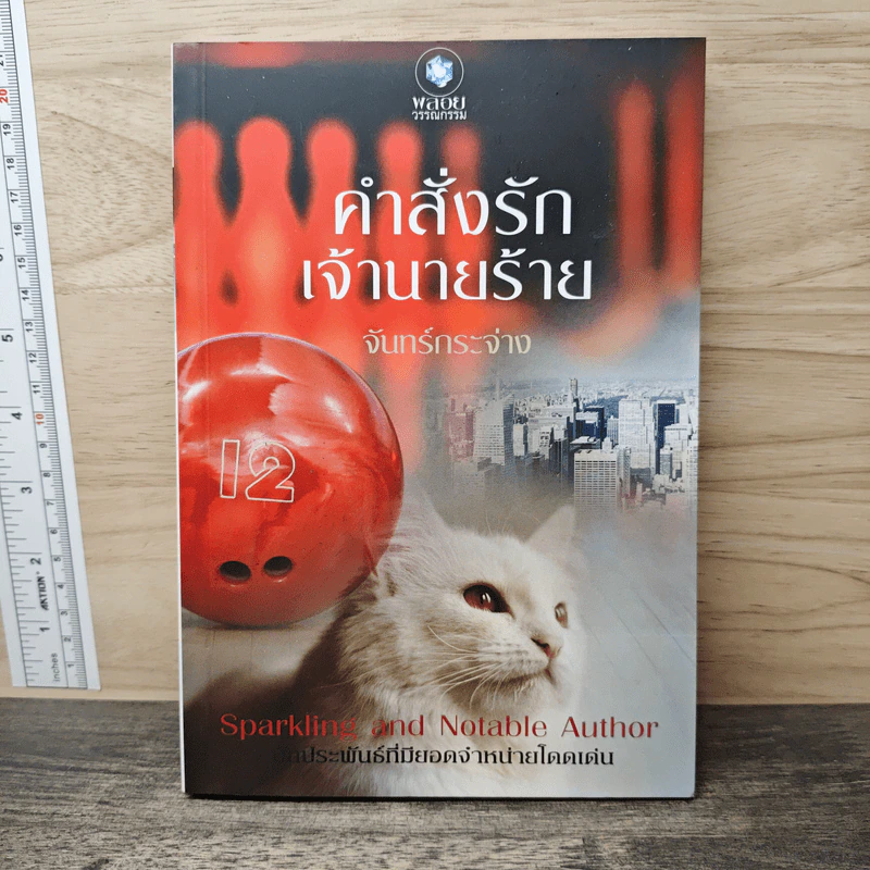 คำสั่งรักเจ้านายร้าย - จันทร์กระจ่าง รูปที่ 1