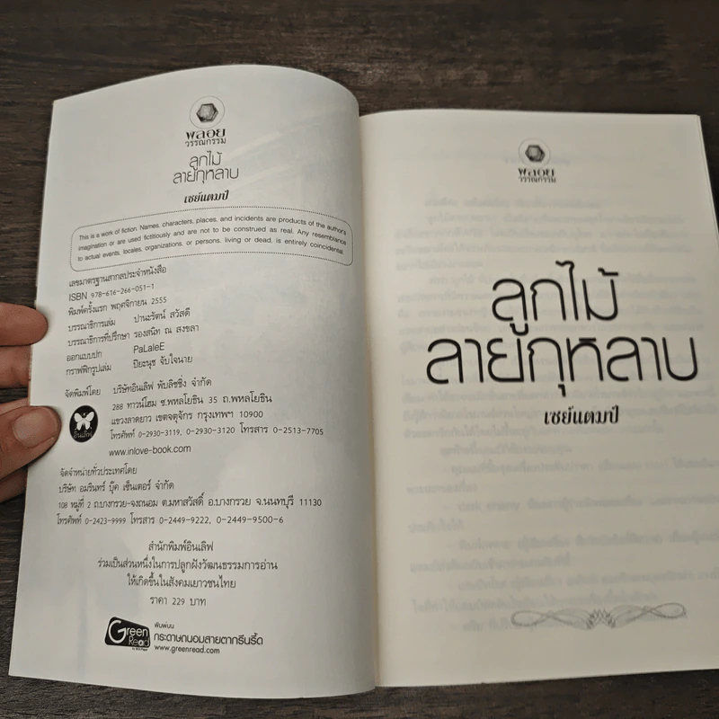 ลูกไม้ลายกุหลาบ - เซย์แตมป์ รูปที่ 6