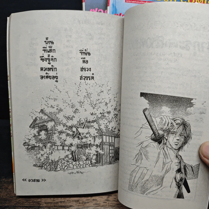 ซากุระแห่งสรวงสวรรค์ 3 เล่มจบ - Shiyori Matsuo รูปที่ 8