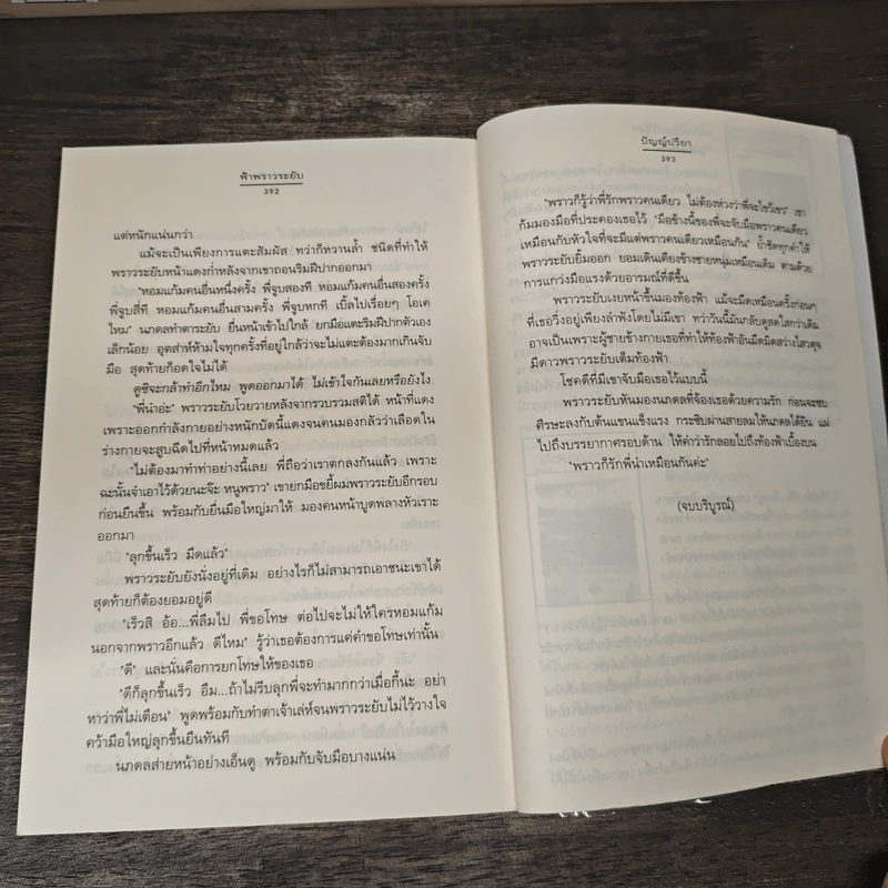 ฟ้าพราวระยับ - ปัญญ์ปรียา รูปที่ 8