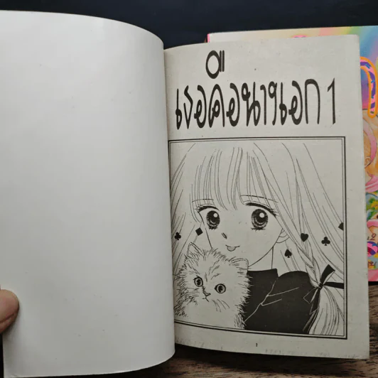 เธอคือนางเอก 2 เล่มจบ รูปที่ 6