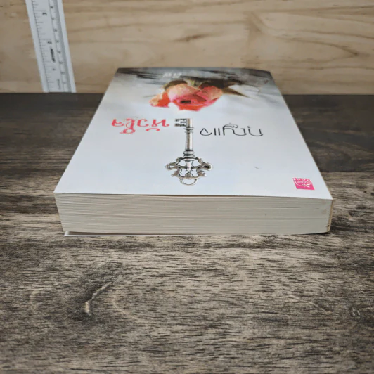 กุญแจหัวใจ - ลิซ รูปที่ 4