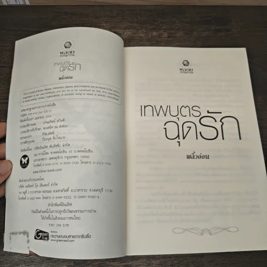 เทพบุตรฉุดรัก - พลิ้วอ่อน รูปที่ 6