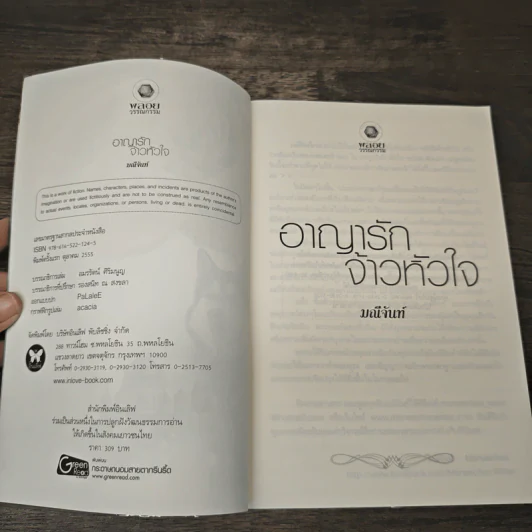 อาญารักจ้าวหัวใจ - มณีจันท์ รูปที่ 6