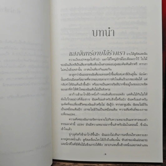 Dark Guardian ผู้พิทักษ์รัตติกาล 4 เล่มจบ - เรเชล ฮอว์ทอร์น รูปที่ 8