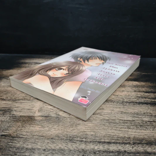 Hot Secret Plan ปฏิบัติการอันตรายท้าทายหัวใจนายมือกลอง - Hideko_Sunshine รูปที่ 4