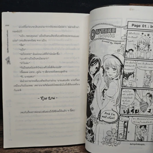 ปฏิบัติการร้าย ของนายตัวแสบ - Swordman แห่ง Iris รูปที่ 8