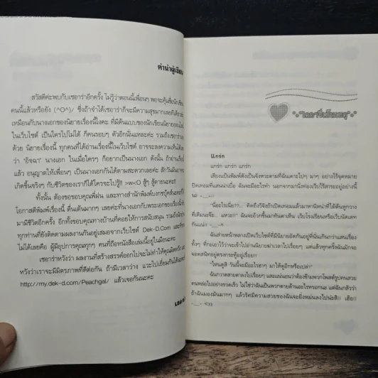 วุ่นรักแสบใสนายแบดกายกับยัยจอมเซี้ยว - เซอาร่า รูปที่ 7