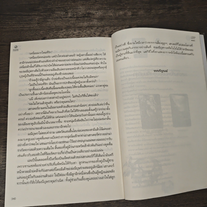 ระเริงไฟใต้ตะวัน - เทียนธีรา รูปที่ 8