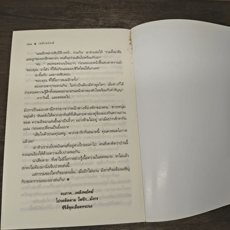 ชุด เลือดทระนง เพลิงพยัคฆ์ - ณารา รูปที่ 8