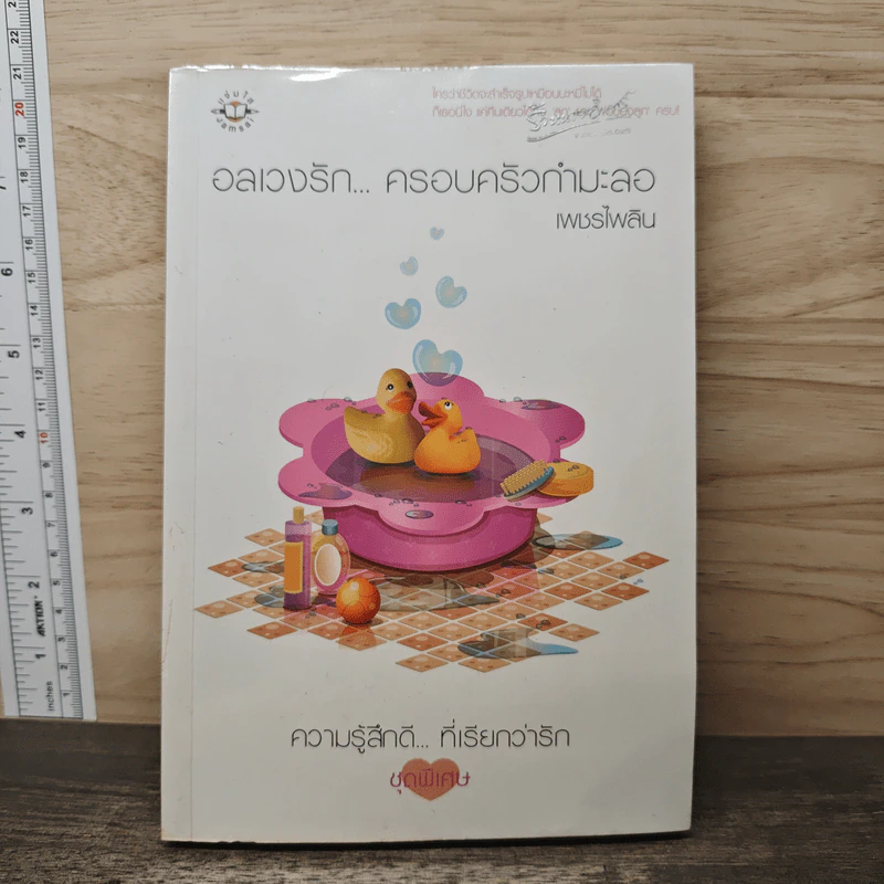 อลเวงรัก... ครอบครัวกำมะลอ - เพชรไพลิน รูปที่ 1
