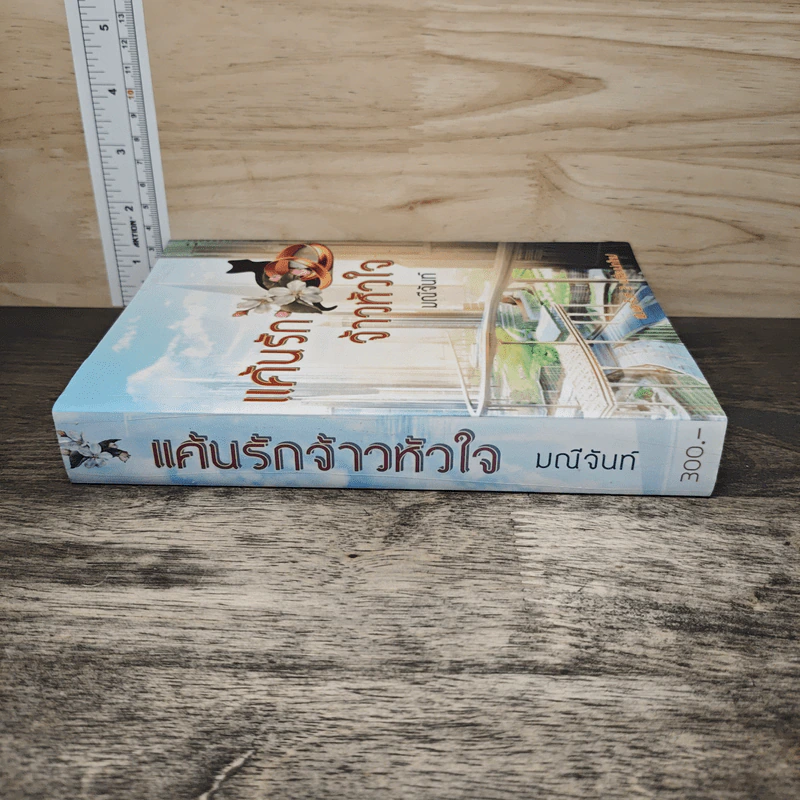 แค้นรักจ้าวหัวใจ - มณีจันท์ รูปที่ 2