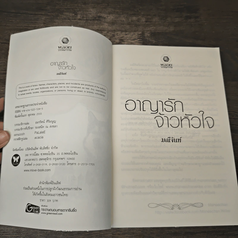 อาญารักจ้าวหัวใจ - มณีจันท์ รูปที่ 6