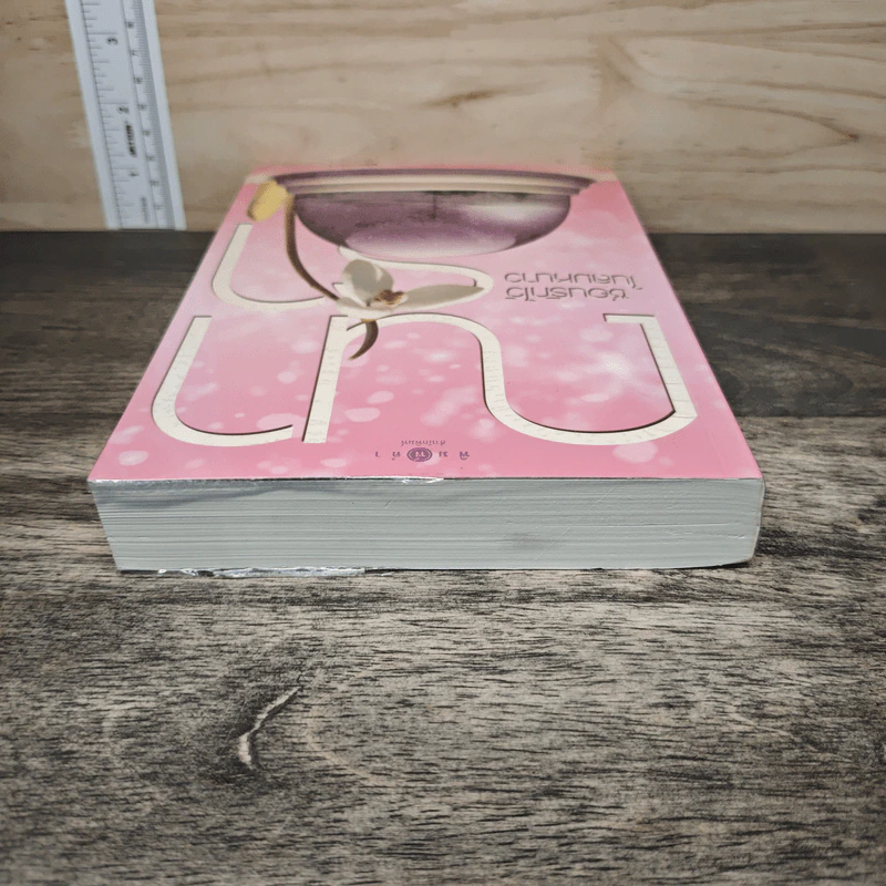 ซ่อนรักไว้ในลมหนาว - ณารา รูปที่ 4