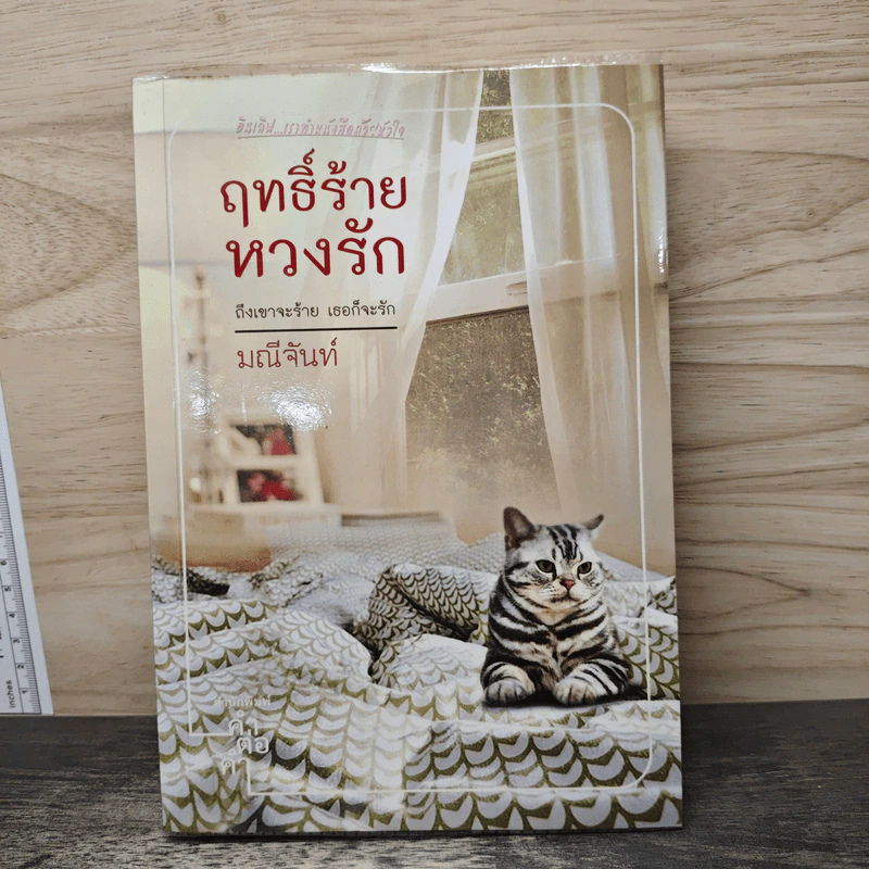 ฤทธิ์ร้ายหวงรัก - มณีจันท์ รูปที่ 1