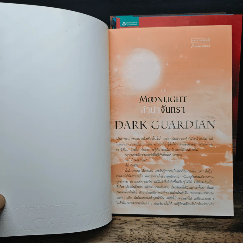 Dark Guardian ผู้พิทักษ์รัตติกาล 4 เล่มจบ - เรเชล ฮอว์ทอร์น รูปที่ 6