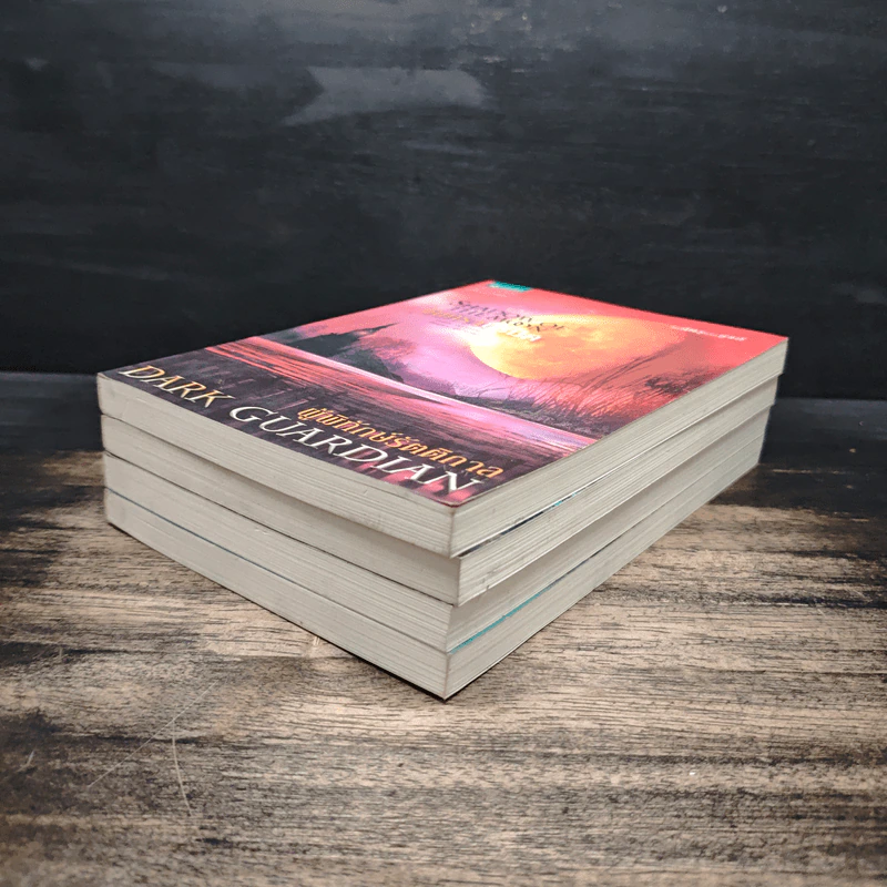 Dark Guardian ผู้พิทักษ์รัตติกาล 4 เล่มจบ - เรเชล ฮอว์ทอร์น รูปที่ 3