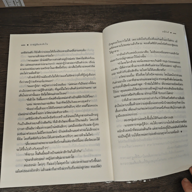 มาตุภูมิแห่งหัวใจ - มณีจันท์ รูปที่ 8