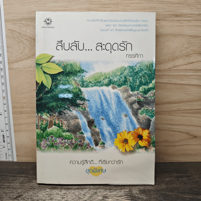 สืบลับ...สะดุดรัก - ทรรศิกา รูปที่ 1