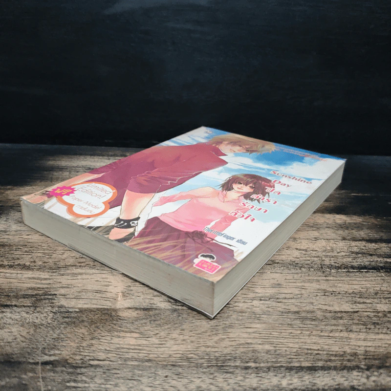 Sunshine Day ปิดตำรารักษาหัวใจ - TheLittleFinger รูปที่ 4