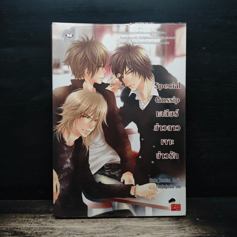 Special Gossip เคลียร์ข่าวฉาวเจาะข่าวรัก - Hideko_Sunshine, Merlin รูปที่ 1