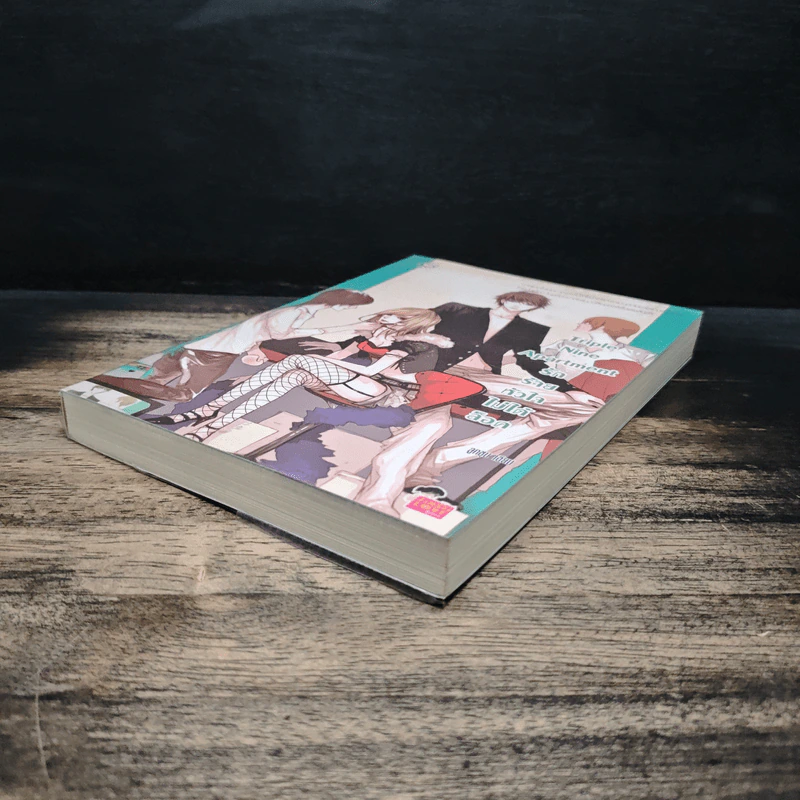 Triple Nine Apartment รักร้ายหัวใจไม่ได้ล็อค - ลูกชุบ รูปที่ 4