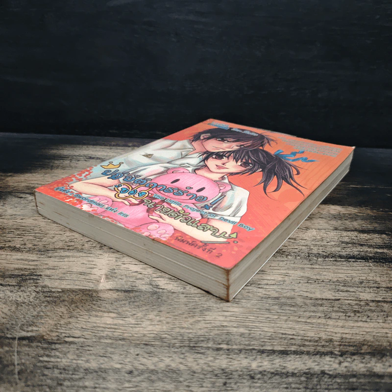 ปฏิบัติการร้าย ของนายตัวแสบ - Swordman แห่ง Iris รูปที่ 4