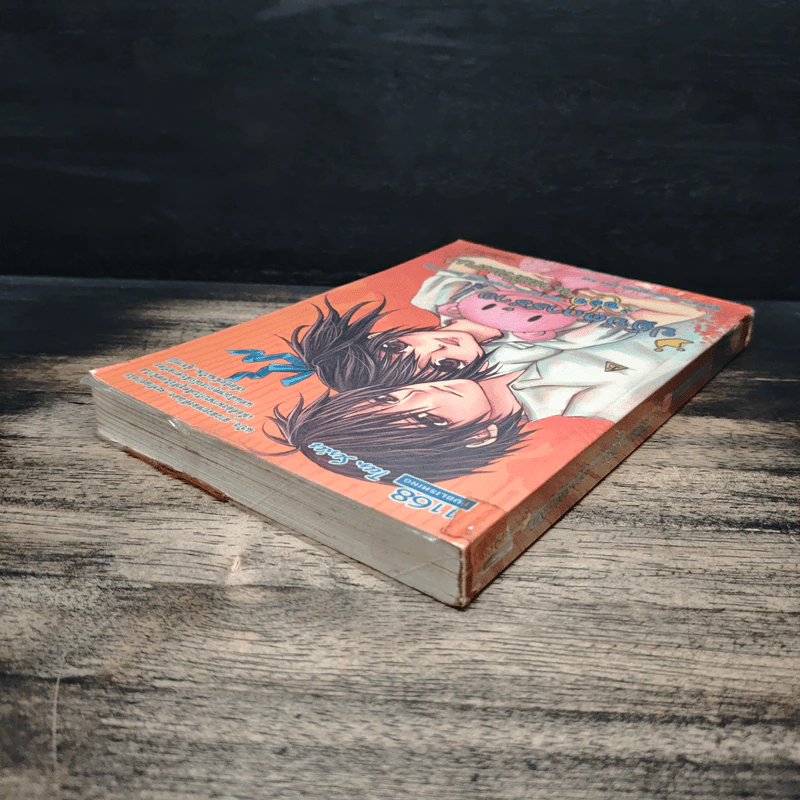 ปฏิบัติการร้าย ของนายตัวแสบ - Swordman แห่ง Iris รูปที่ 5