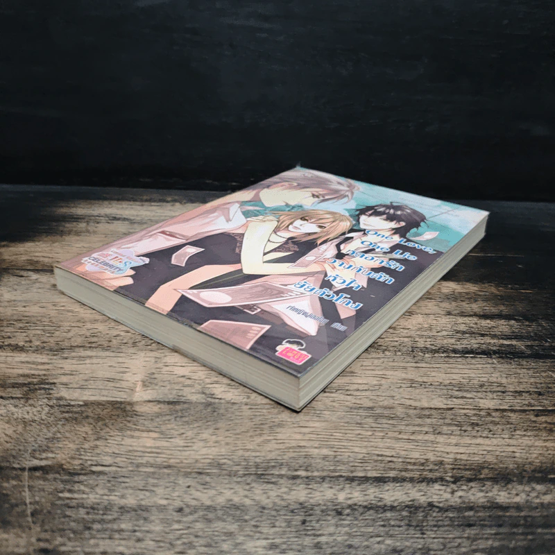 One Love, One Lie หลอกรักวางกับดักหัวใจยัยตัวโกง - เจ้าหญิงผู้เลอโฉม รูปที่ 4