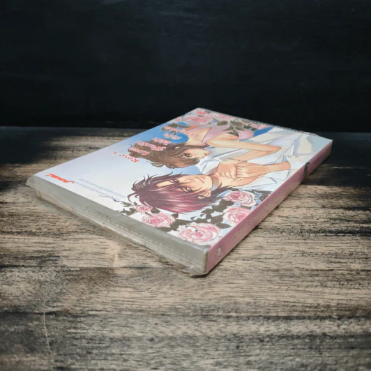 Rose's Love จู่โจมรักไล่ล่าหัวใจยัยจอมเฟก - เจ้าหญิงผู้เลอโฉม รูปที่ 5
