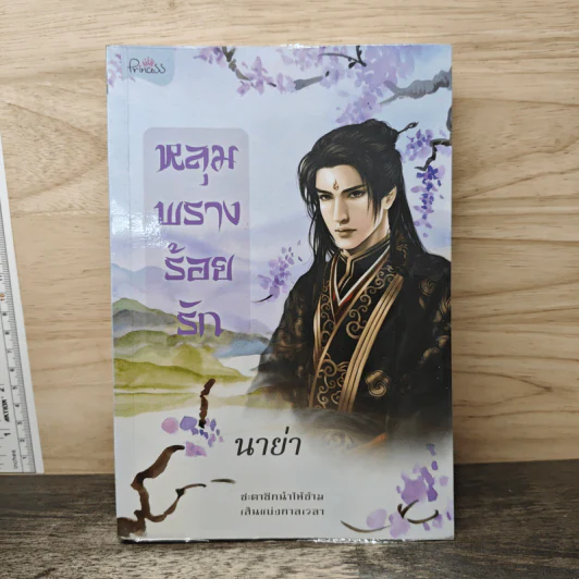 หลุมพรางร้อยรัก - นาย่า รูปที่ 1