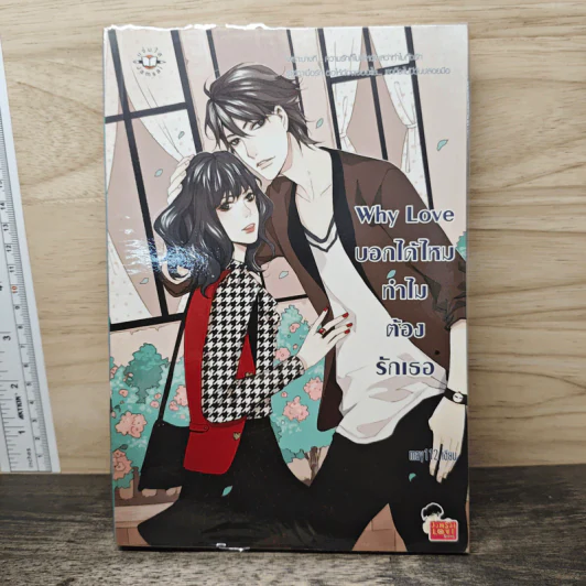 Why Love บอกได้ไหม ทำไมต้องรักเธอ - May112 รูปที่ 1