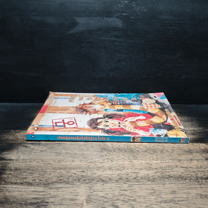 การ์ตูน เจ้าหญิงจอมจุ้นกับรักวุ่นๆในวัง เล่ม 2 รูปที่ 3