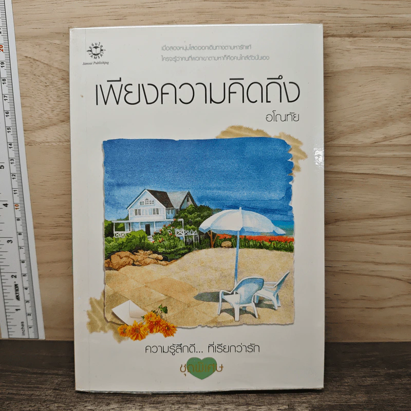เพียงความคิดถึง - อโณทัย รูปที่ 1