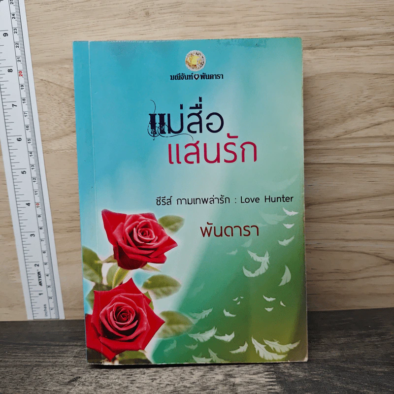 แม่สื่อแสนรัก - พันดารา รูปที่ 1
