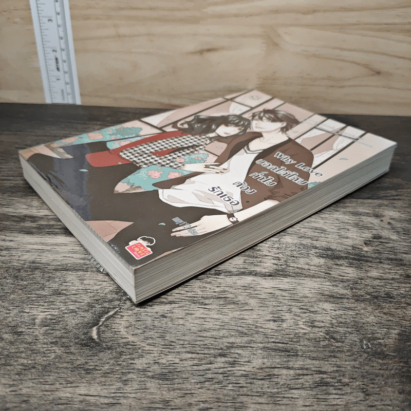 Why Love บอกได้ไหม ทำไมต้องรักเธอ - May112 รูปที่ 3