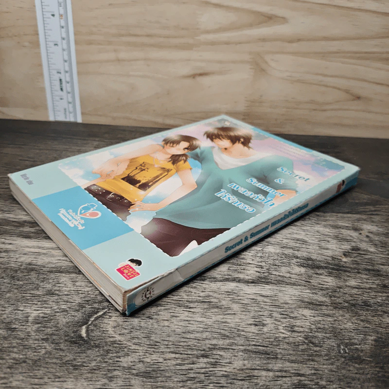Secret & Summer เผลอหัวใจให้รักเธอ - Merlin รูปที่ 3