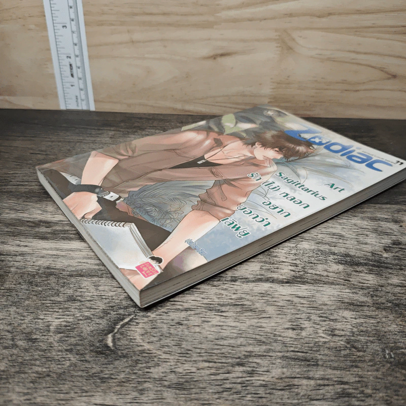 Art Sagittarius รัก(ไม่)หลอกอยากบอกว่า เลิฟยู - ปุยฝ้าย รูปที่ 2